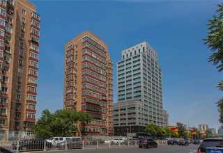 陇南八角杆哪家好