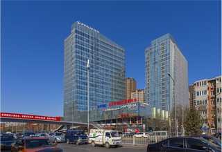 拱墅区绿叶植物出租中心