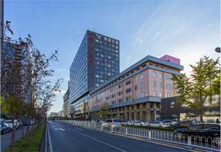 河北专业伺服液压冲床价格表